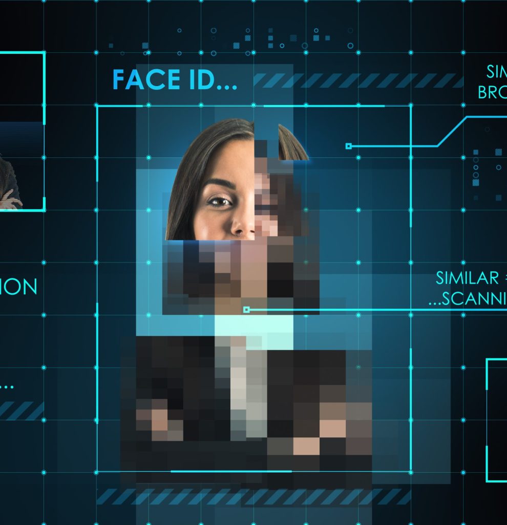 Director Identity Verification